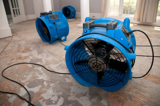 Best Water damage restoration company  in Bluefield, VA