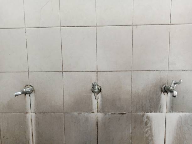 Best Emergency water extraction  in Bluefield, VA