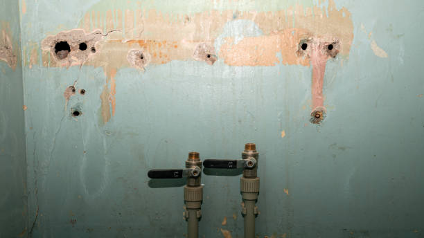 Best Water damage cleanup near me  in Bluefield, VA