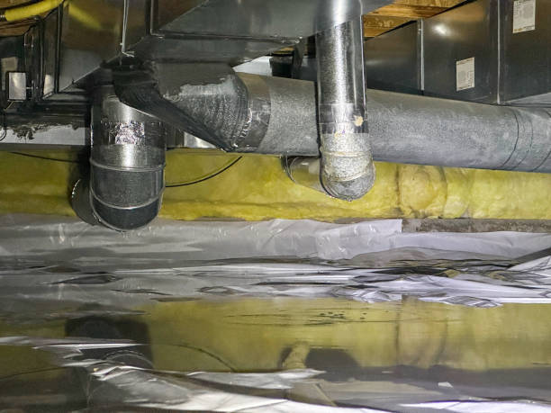 Best Water damage restoration mold remediation  in Bluefield, VA