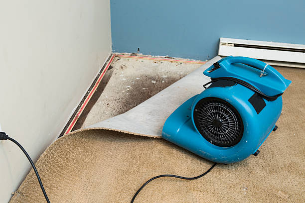 Best Fire Damage Restoration  in Bluefield, VA